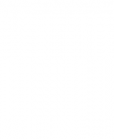 Латышкина  Светлана  Борисовна