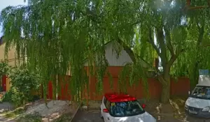 Фотография Chistofer 1